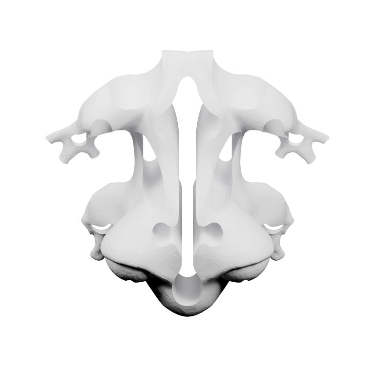 Симметричная форма с вытянутым туловищем и разветвленными конечностями