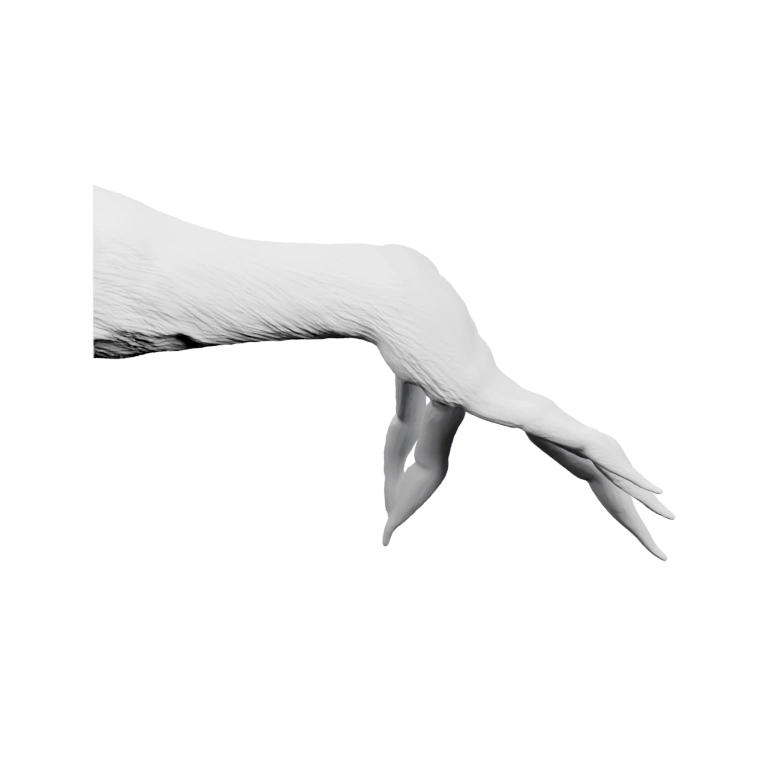 Руки показывают разные жесты, включая знаки и кулак