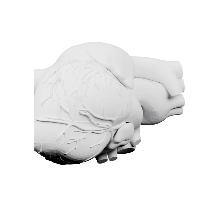 Круглая форма с тонкими изогнутыми элементами, напоминающими кисти или нити