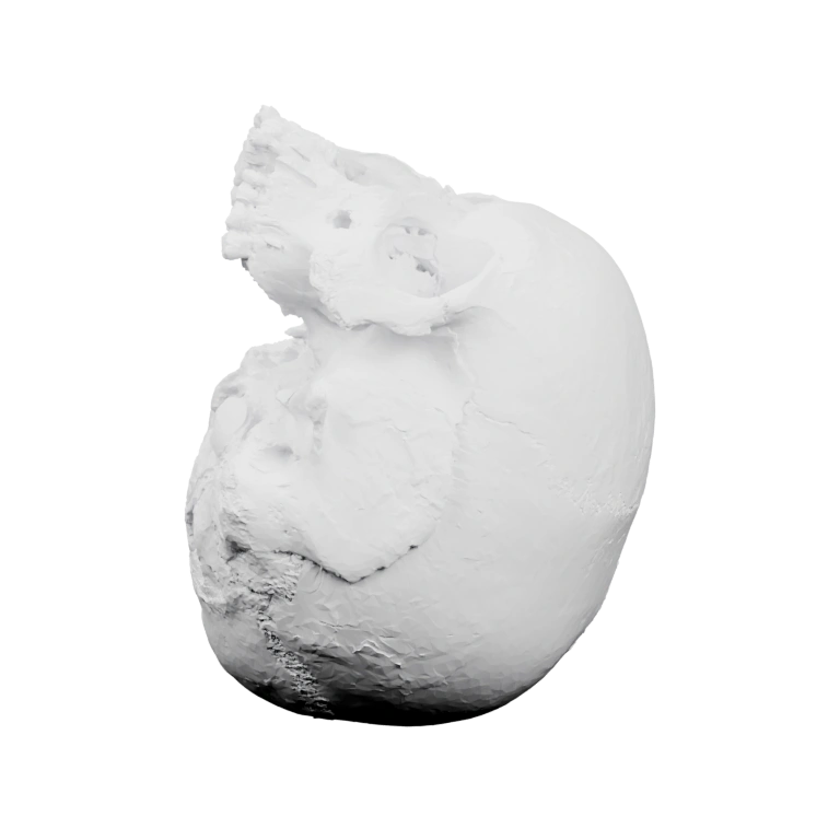 Фигурка с ключом и крыльями, симметрично расположенная на черном фоне