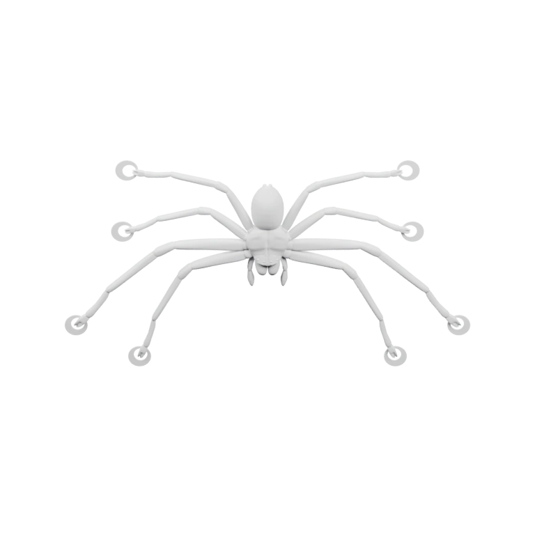 Сегментированный череп с открытыми отверстиями и костями