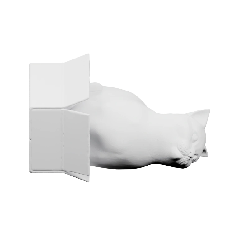 Сидящая кошка в разных позах, с поднятым хвостом и взглядом вверх