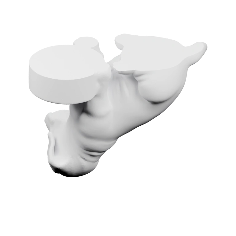 Симметричная форма с плавниками и хвостом, детализированная спинка