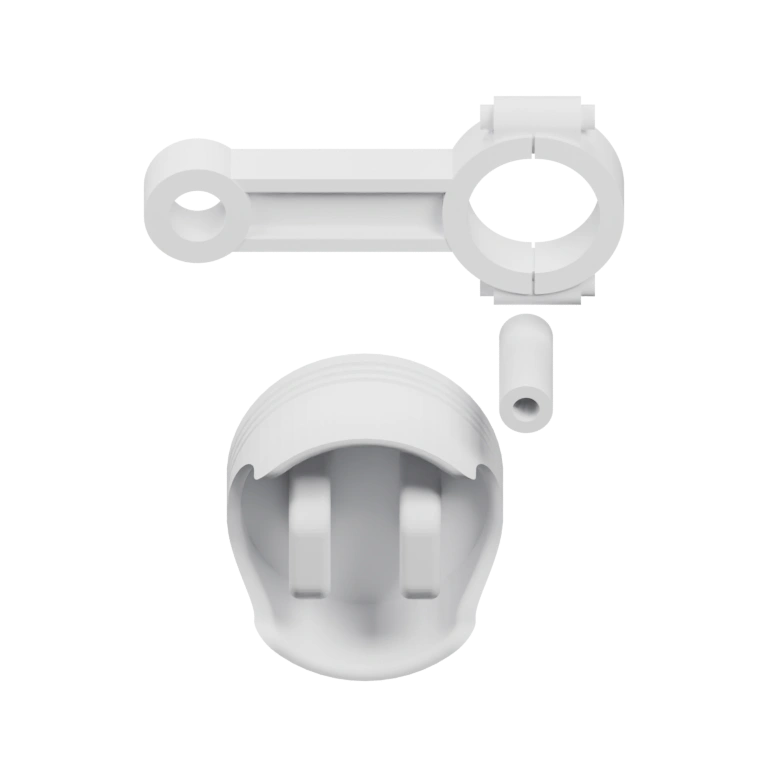 Маленький енот с пушистым мехом, сидит на задних лапах