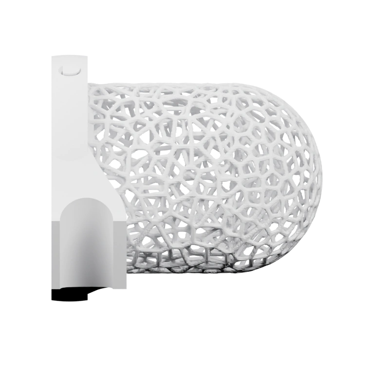 Изогнутые кости с отверстиями и выступами