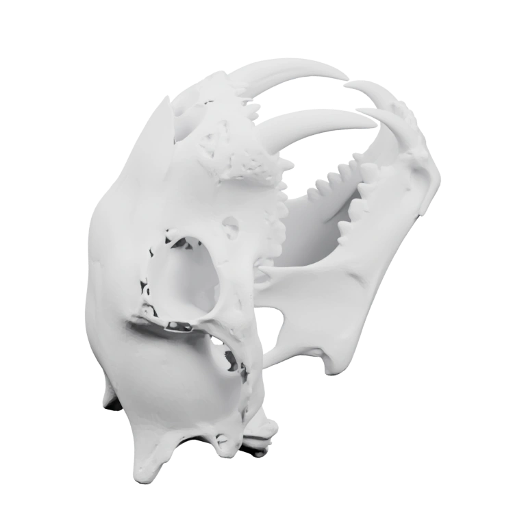 Геометрическая форма с острыми углами и выразительными ушами