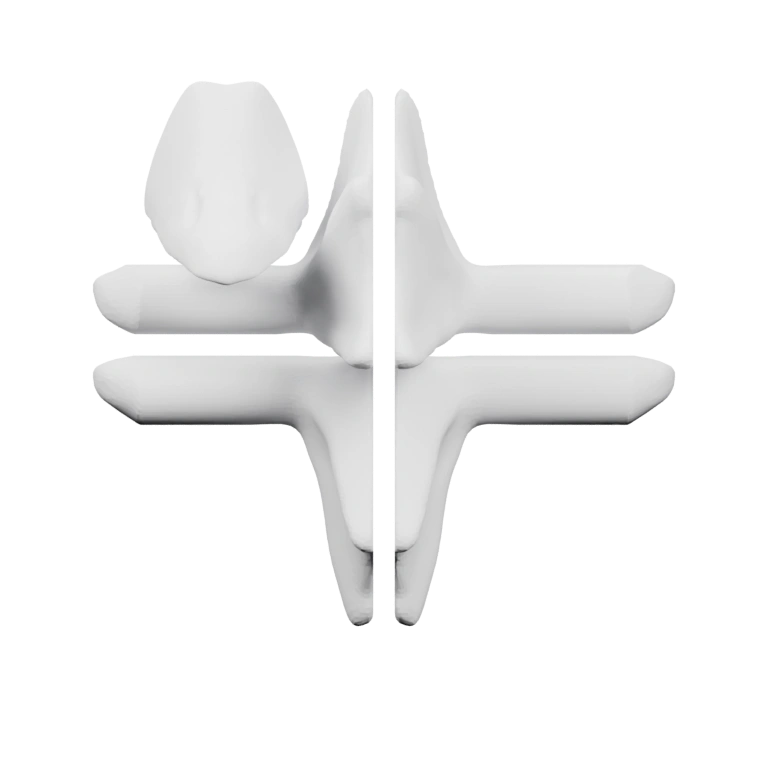 Форма лапы с пальцами и подошвой