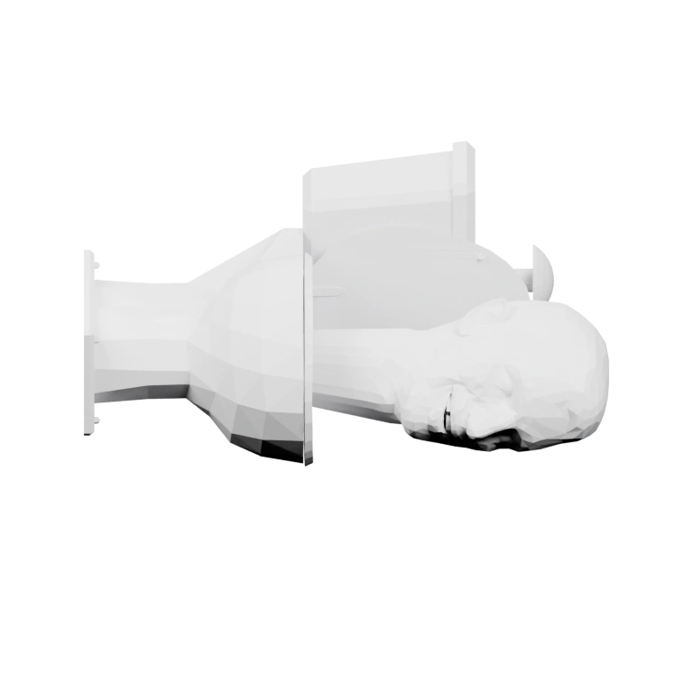 Голова человека в унитазе, смотрит в разные стороны