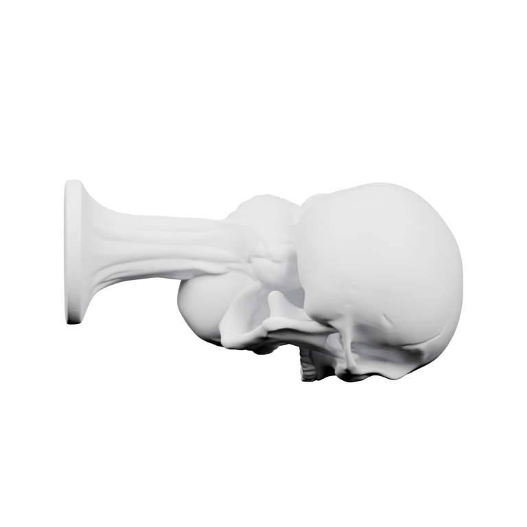 Череп с сердцем на подставке, детализированная форма