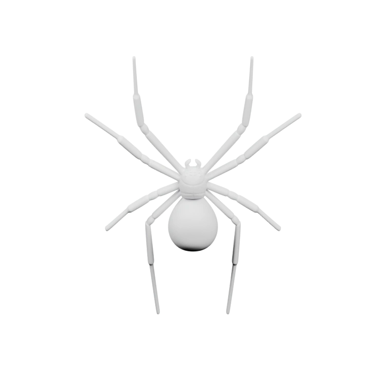 Поверхностный вид с разных сторон, сегментированная форма