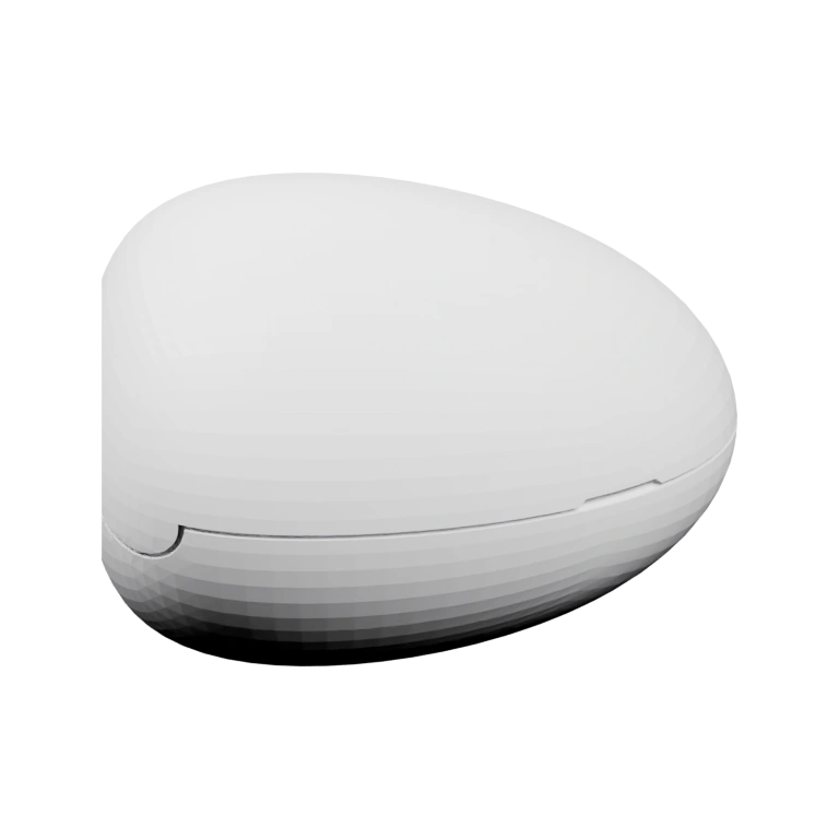 Гладкое яйцо с вертикальной линией на поверхности