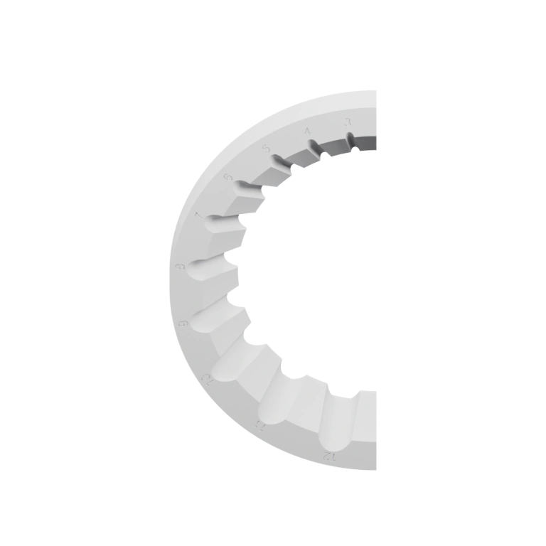 Имеет зубчатую форму и два сегмента