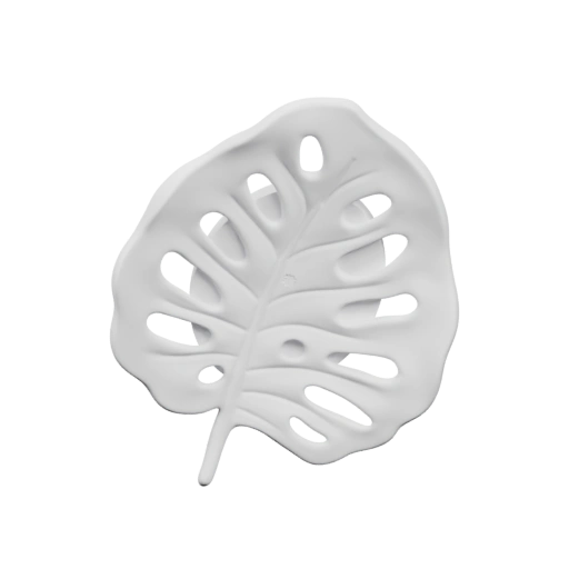 Лист монстера