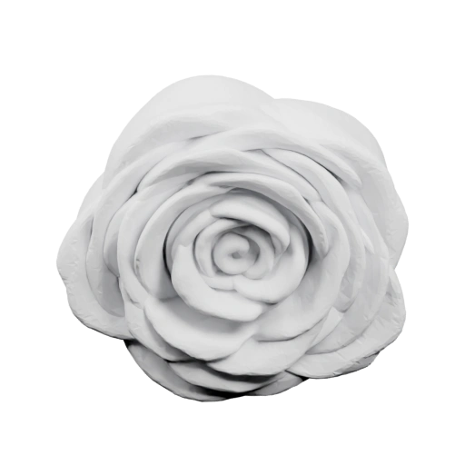 Роза в стиле минимализма