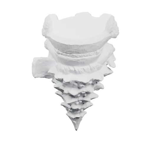 Декоративная деталь