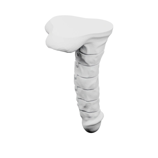 Костяной стержень с головкой