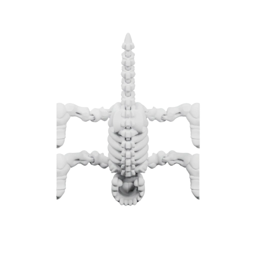 Скелет собаки