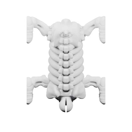 Скелет собаки