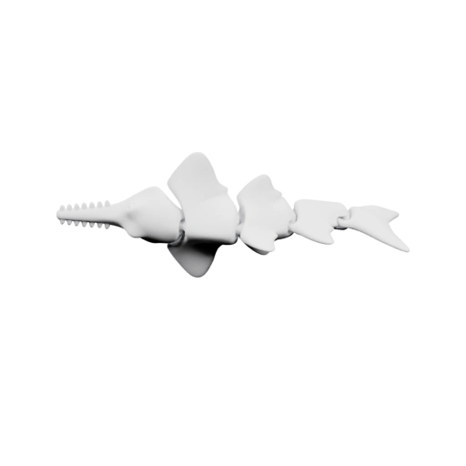 Акула с вытянутой пастью