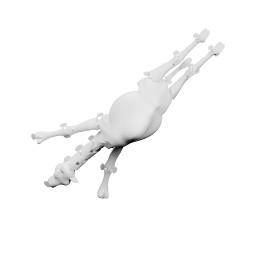 Дракон с крыльями