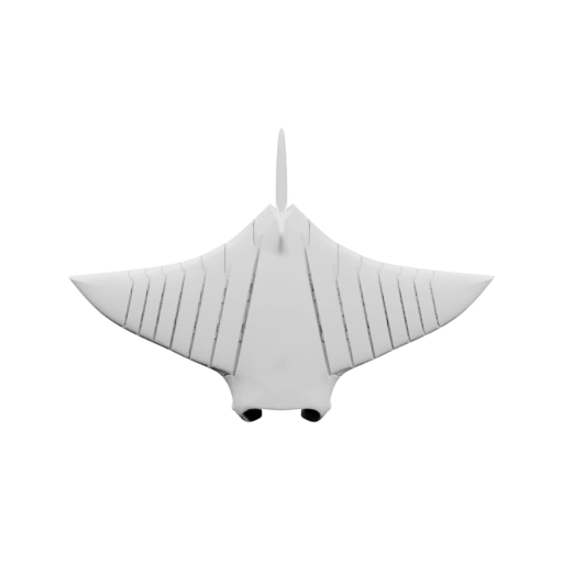 Самолёт в форме