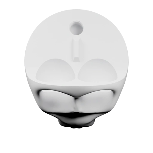 Голова с выражением лица