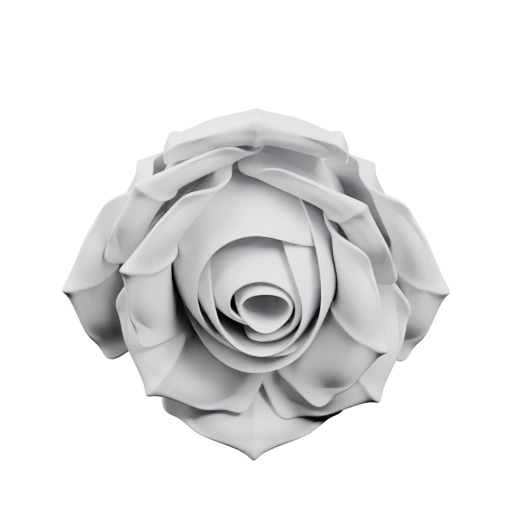 Роза в объеме