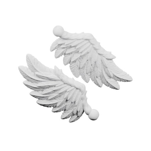 Крылья ангела
