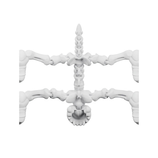 Скелет собаки