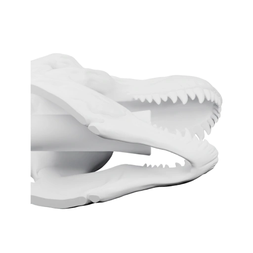 Душевая насадка