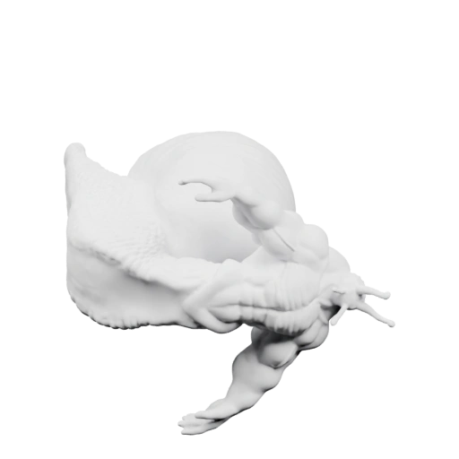 Улитка с мускулатурой