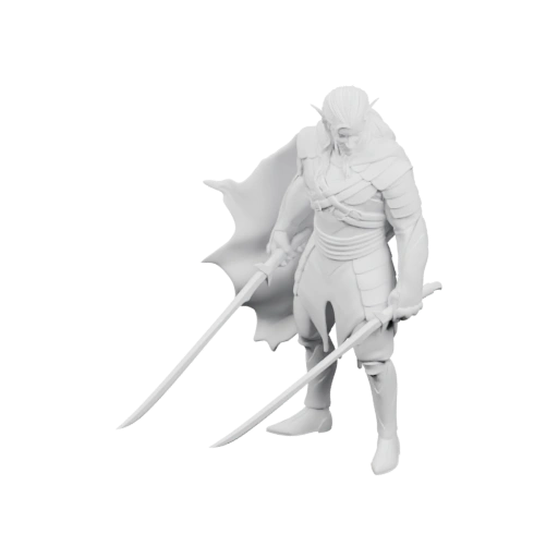 Воин с двумя мечами