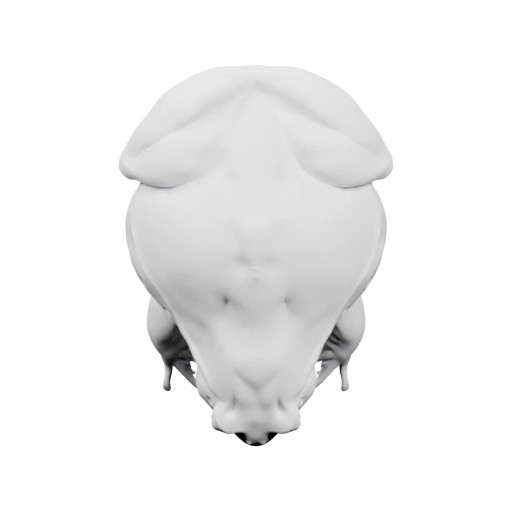 Голова лягушки