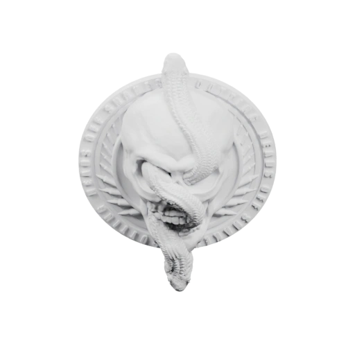 Значок с черепом змеи