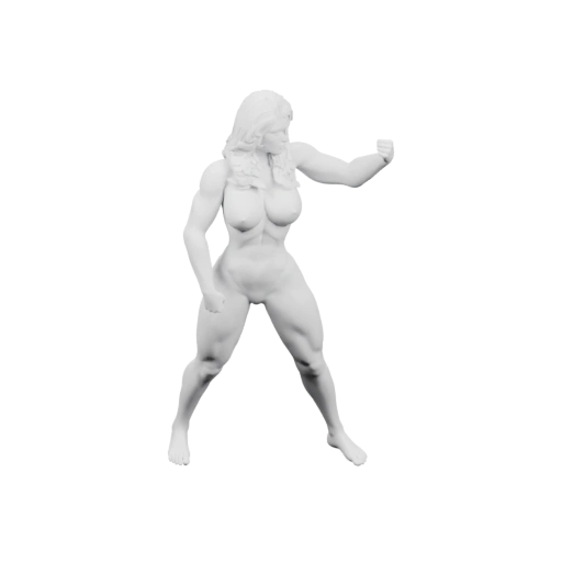 Фигура бойца