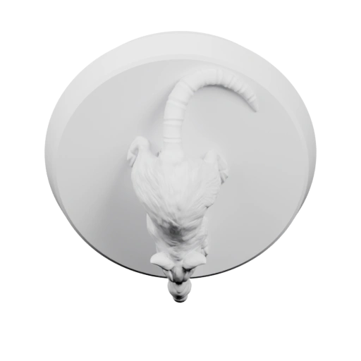 Крыса с поднятым хвостом