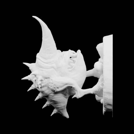 Морская ракушка