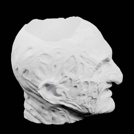 Голова с выражением лица