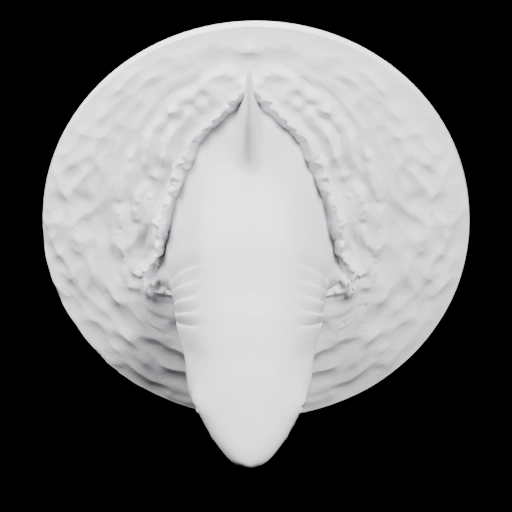 Акула из воды