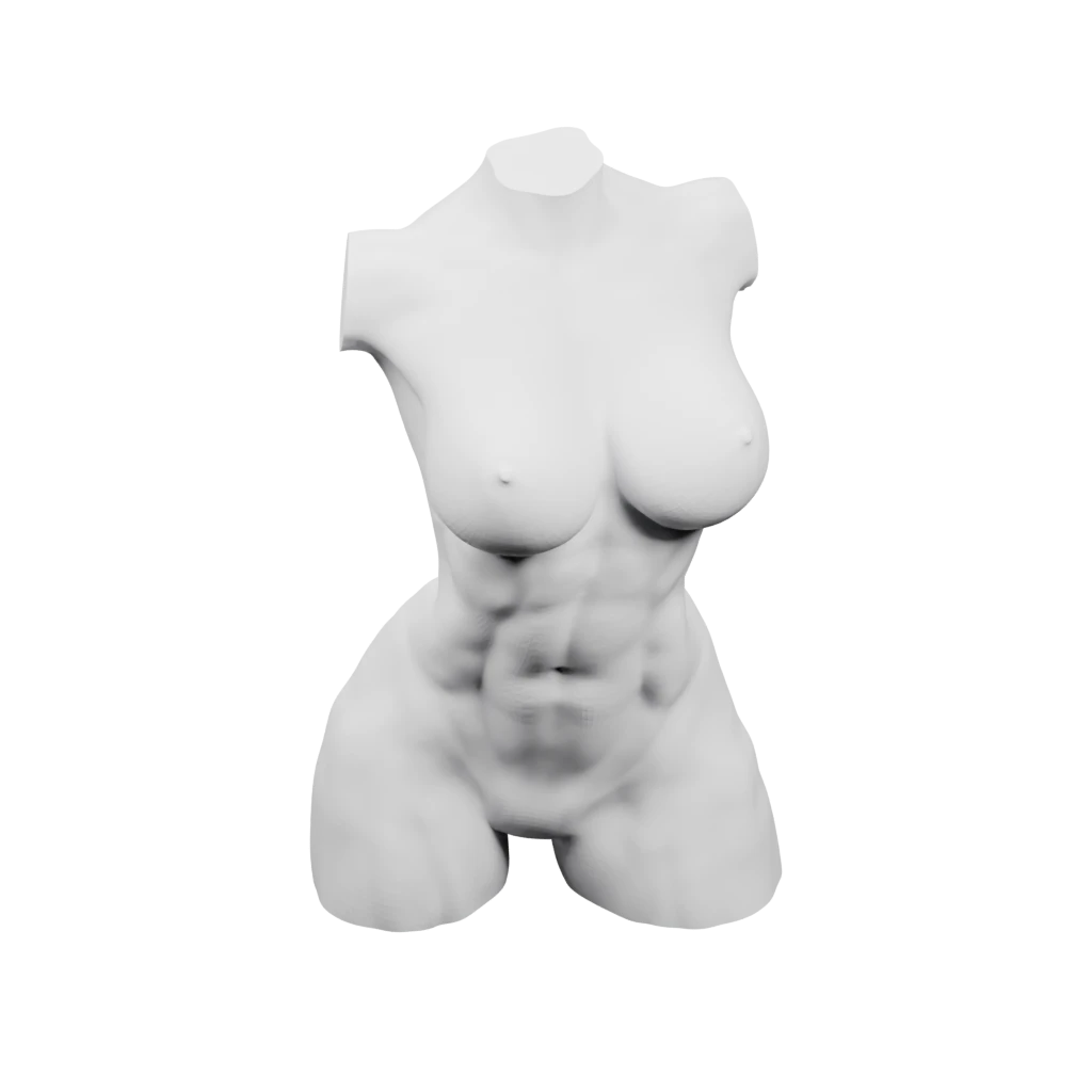 Женский торс