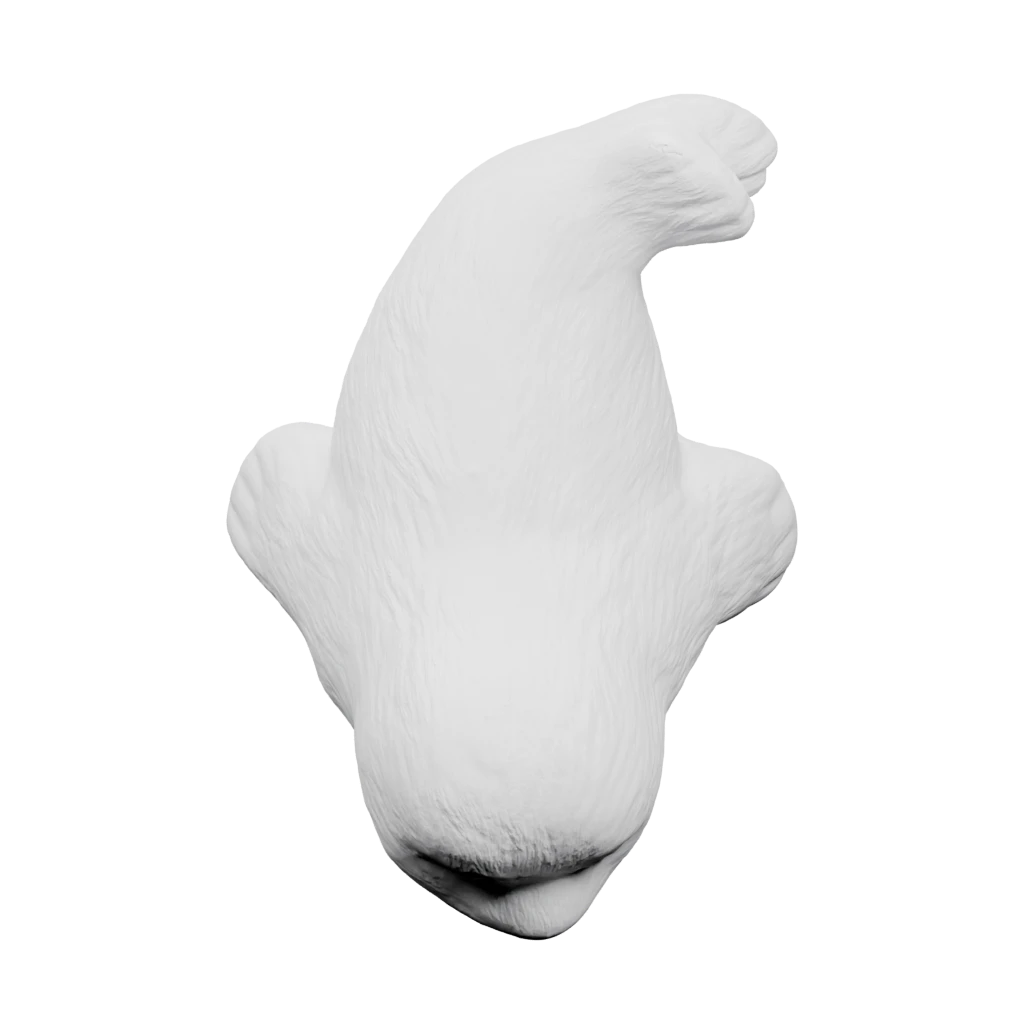 Милый тюлень