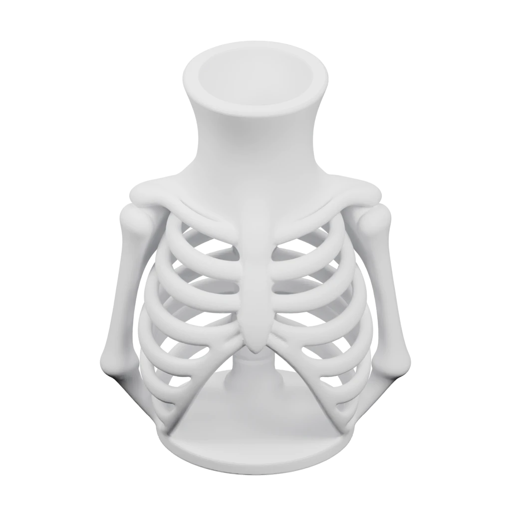 Тихая анатомия (ваза кость)